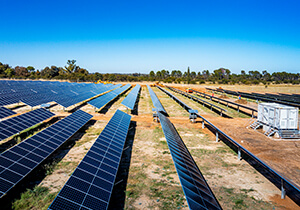 Eland Solar_007